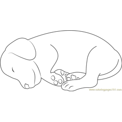 Small dog sleeping coloring page for kids