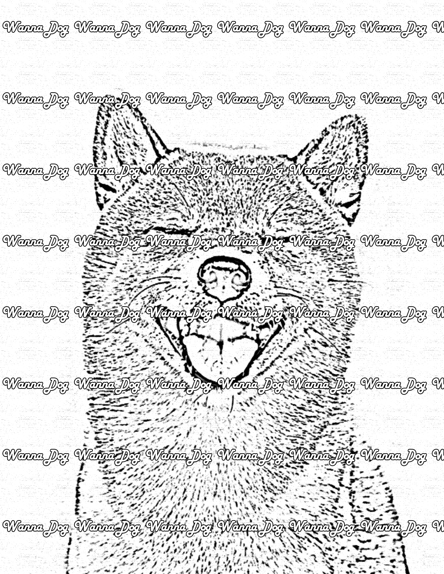 Shiba inu coloring pages â wanna dog