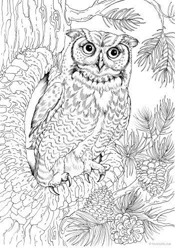 Owl in a hollow â favoreads coloring club