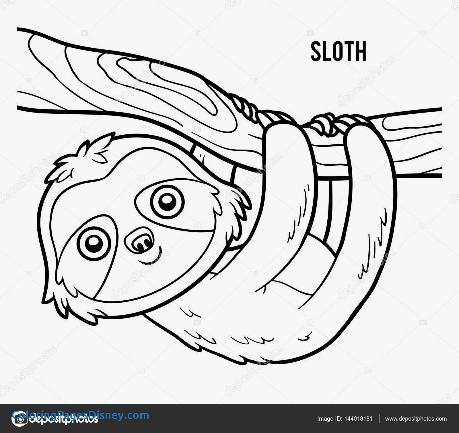 Because sloths are cute and fun to color for kids coloring books coloring pictures coloring pages to print