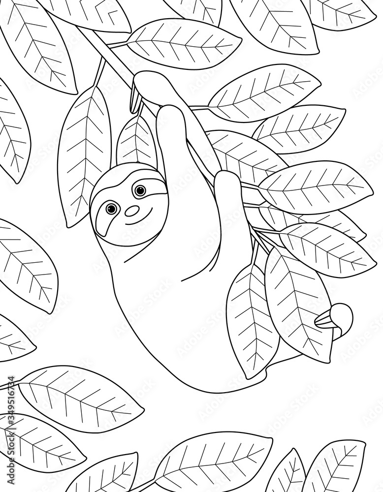 Fun coloring book with the cute sloth and the leaves of the tree animal drawing for children vertical page black outline on white background vector illustration vector