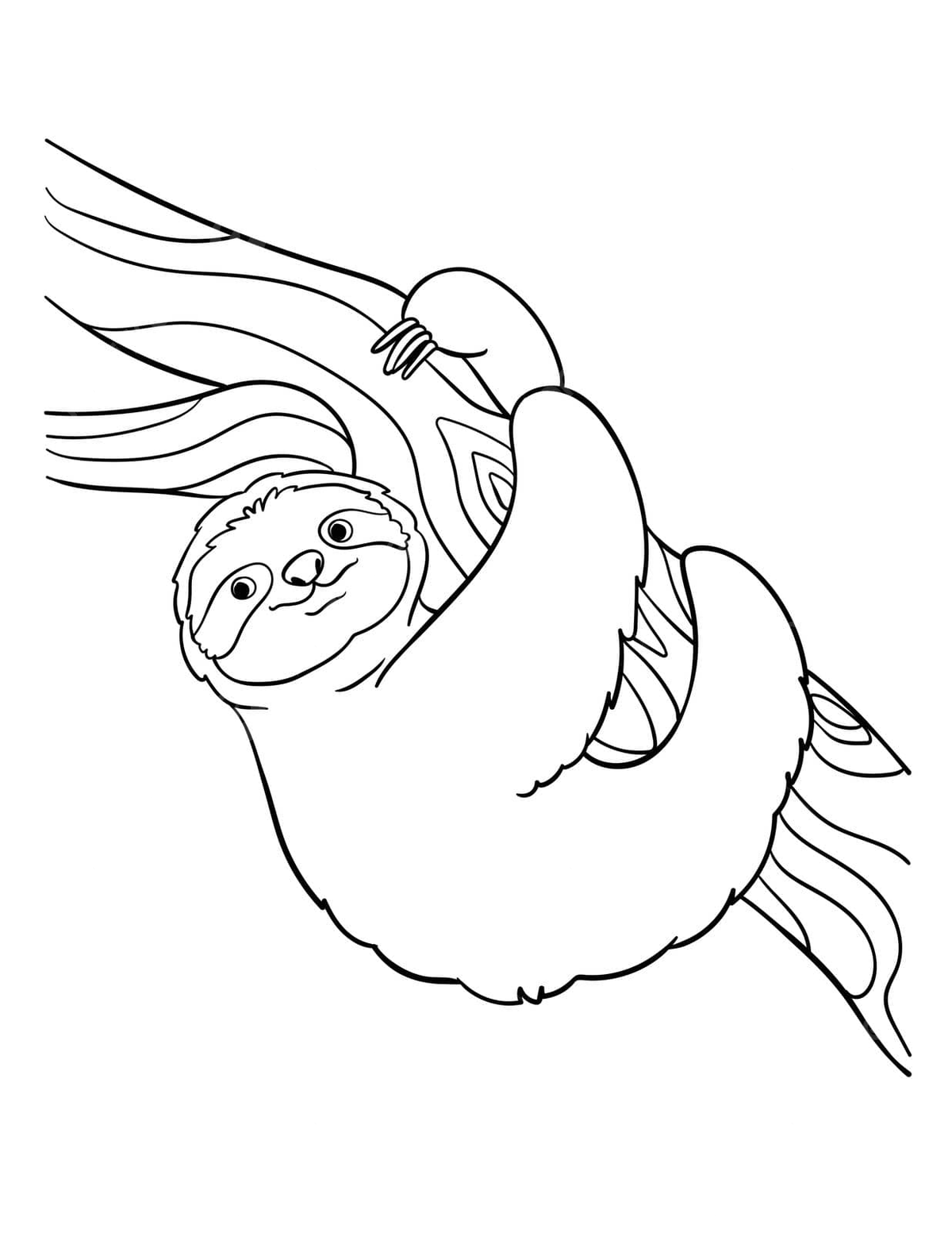 Sloth isolated coloring page for kids coloring book design colouring vector book drawing ring drawing kid drawing png and vector with transparent background for free download