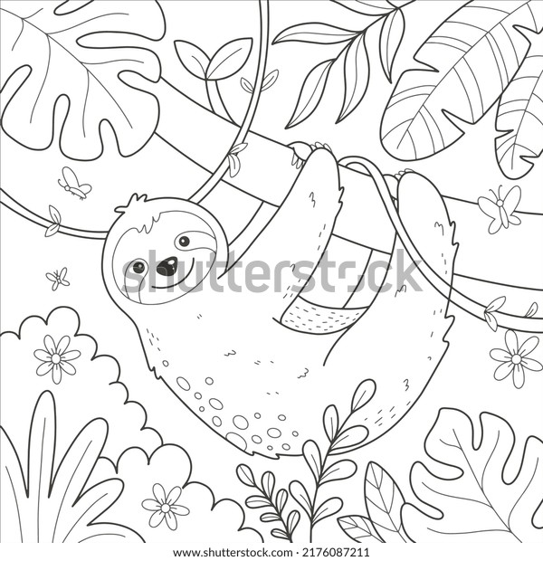 Sloth coloring book images stock photos d objects vectors