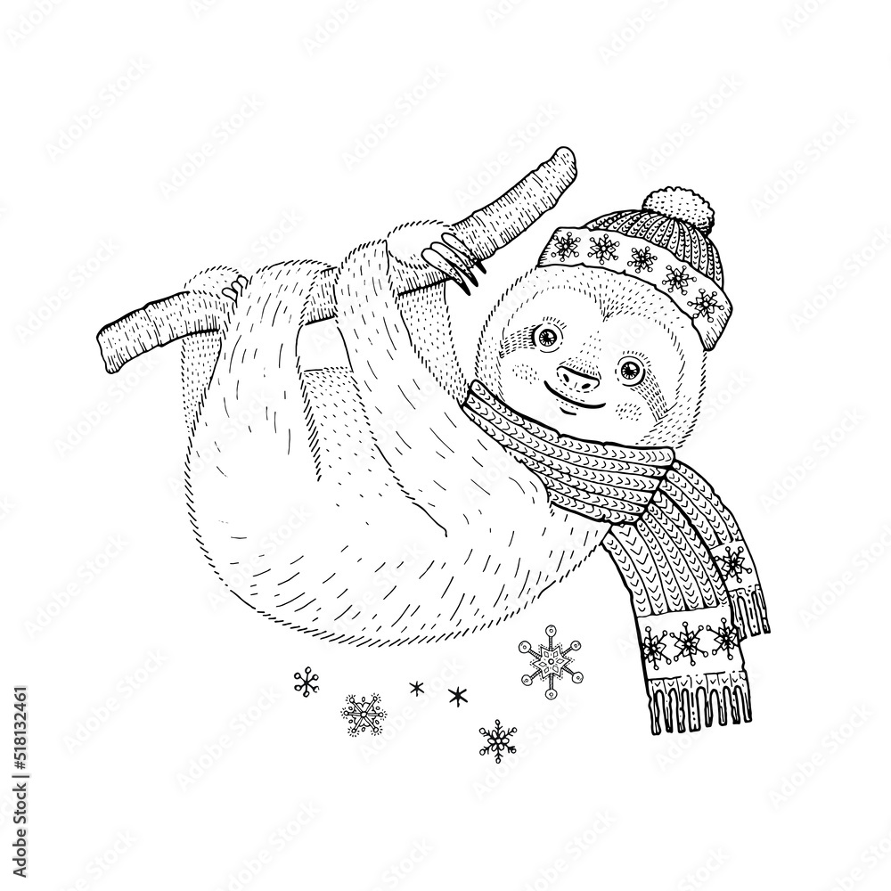Christmas sloth coloring book funny line animal merry christmas baby animal icon line sketchillustration for cute apparel print cartoon sloth in scarf on tree branch happy lazy winter character vector