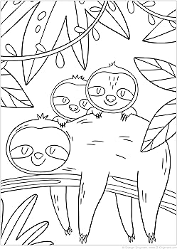 Sloths coloring book awesome coloring pages with fun facts about silly sloths design originals one