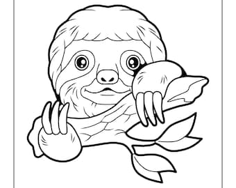 Adorable sloth coloring pages download now