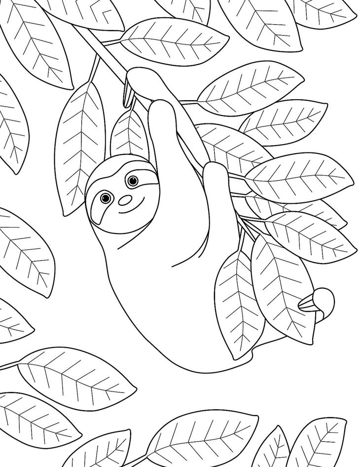 Sloth coloring pages free printable coloring pages of sloths to help you slow down reâ printable coloring pages free printable coloring animal coloring pages