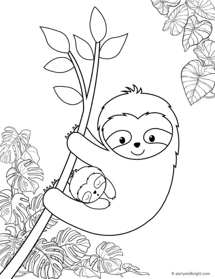 Print out these cute sloth coloring pages for kids adults plus other fun sloth activity printabâ animal coloring pages cute coloring pages cool coloring pages