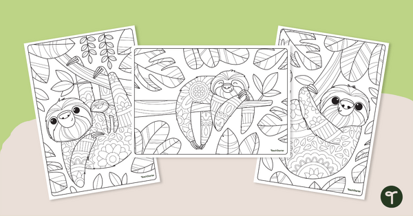 Sloth mindfulness colouring pages teach starter