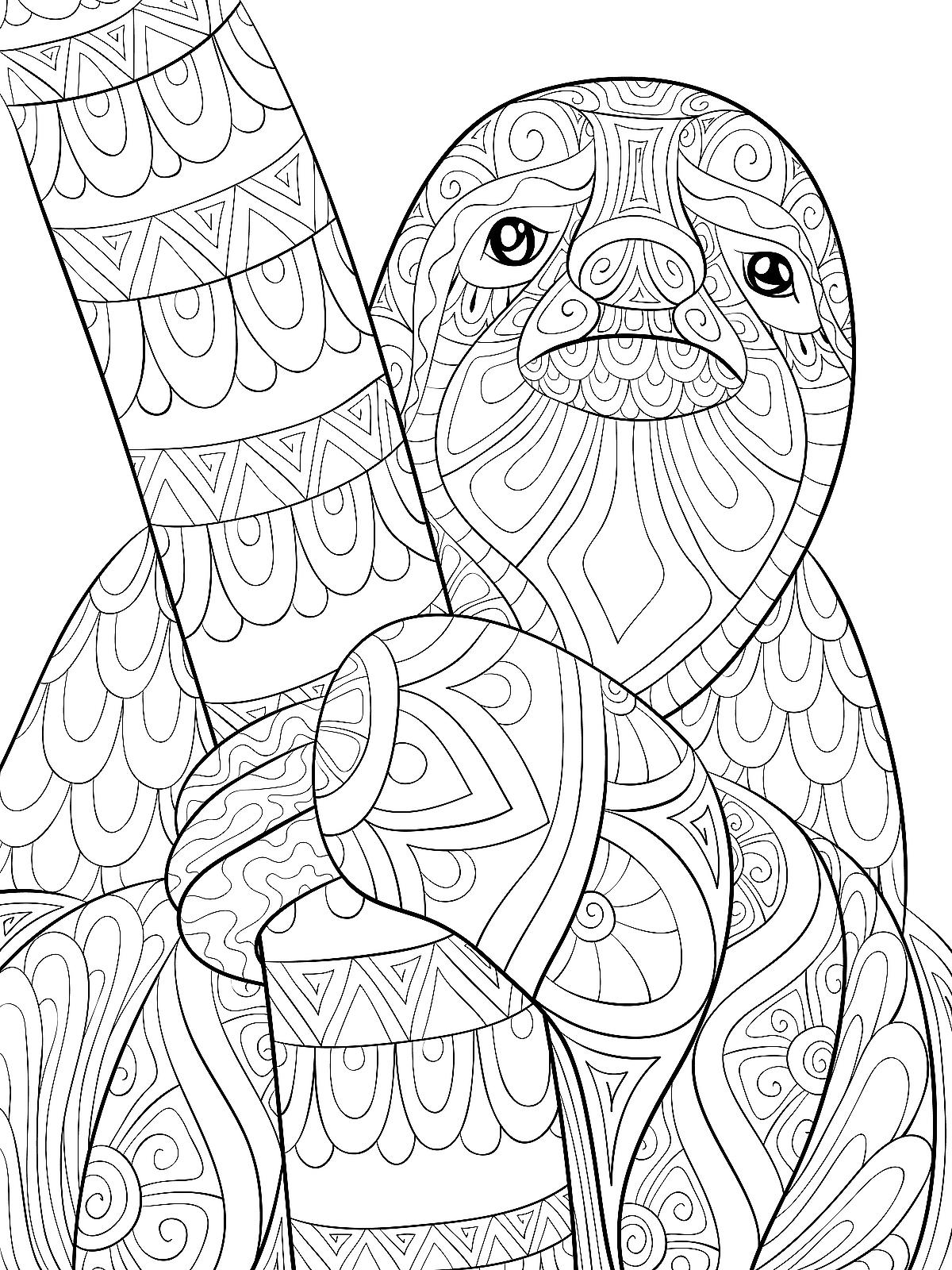 Sloth coloring pages free printable coloring pages of sloths to help you slow down relax like a sloth printables mom