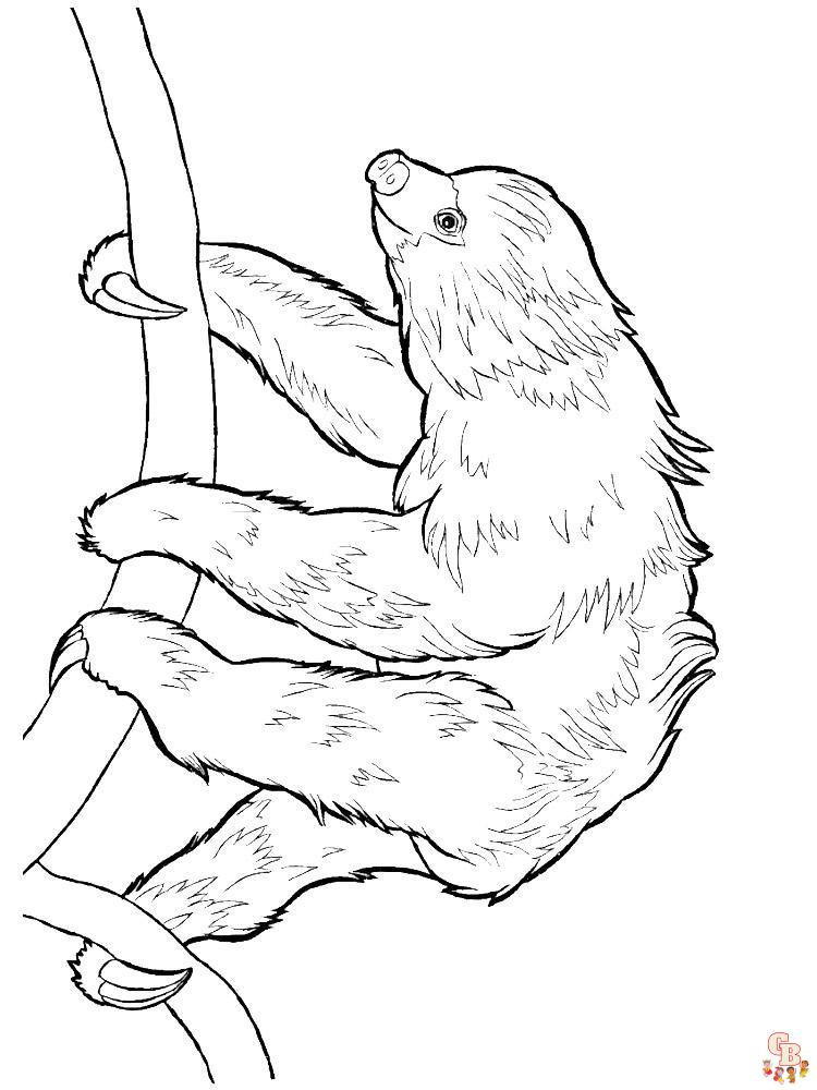 Slow sloth coloring pages for kids