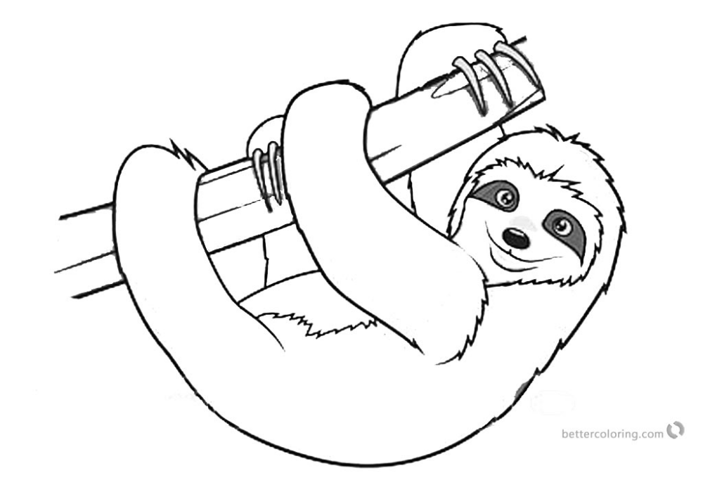 Sloth coloring pages realistic three toed sloth