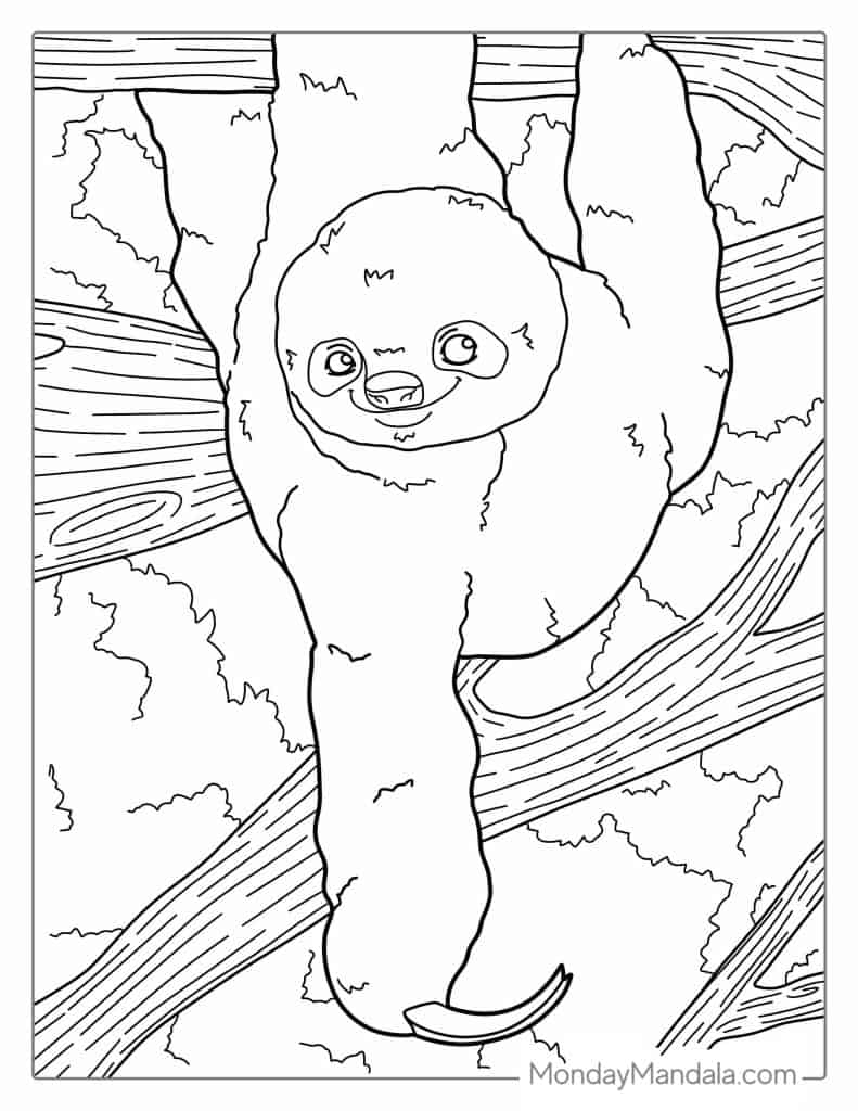 Sloth coloring pages free pdf printables