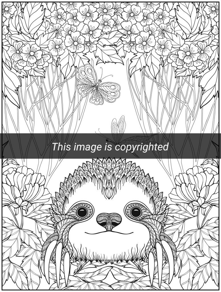 Sloth coloring book