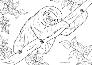 Free printable sloth coloring pages for kids