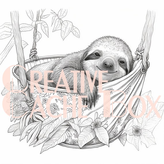 Grayscale baby sloth coloring pages sloth gift grayscale image adult coloring pages