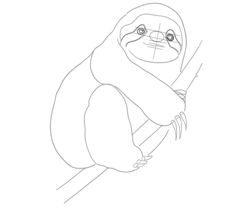 How to draw a sloth