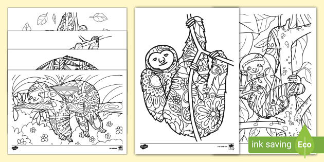 Sloths mindfulness colouring pages teacher made