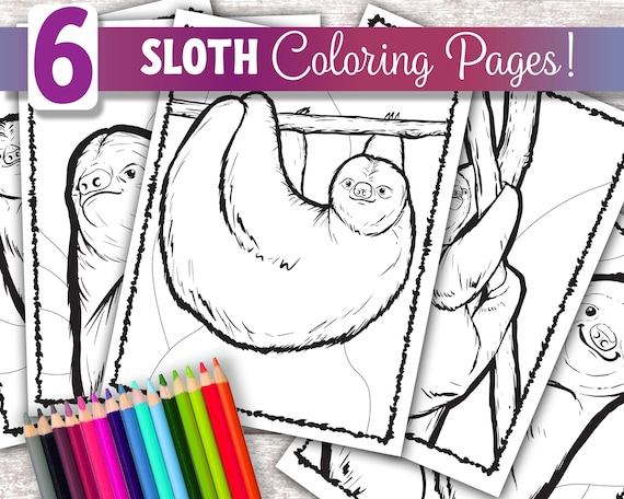 Sloth coloring pages digital download kids coloring book colouring book sloth printable coloring pages slothes slothed