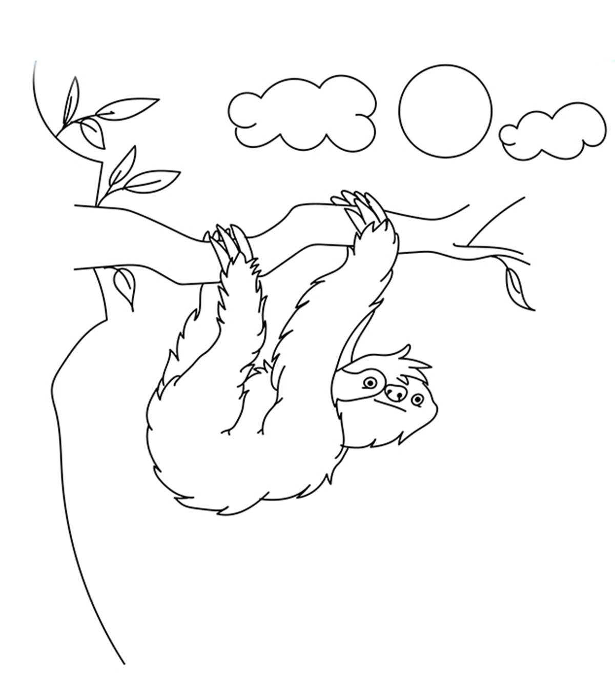 Top sloth coloring pages for your toddler