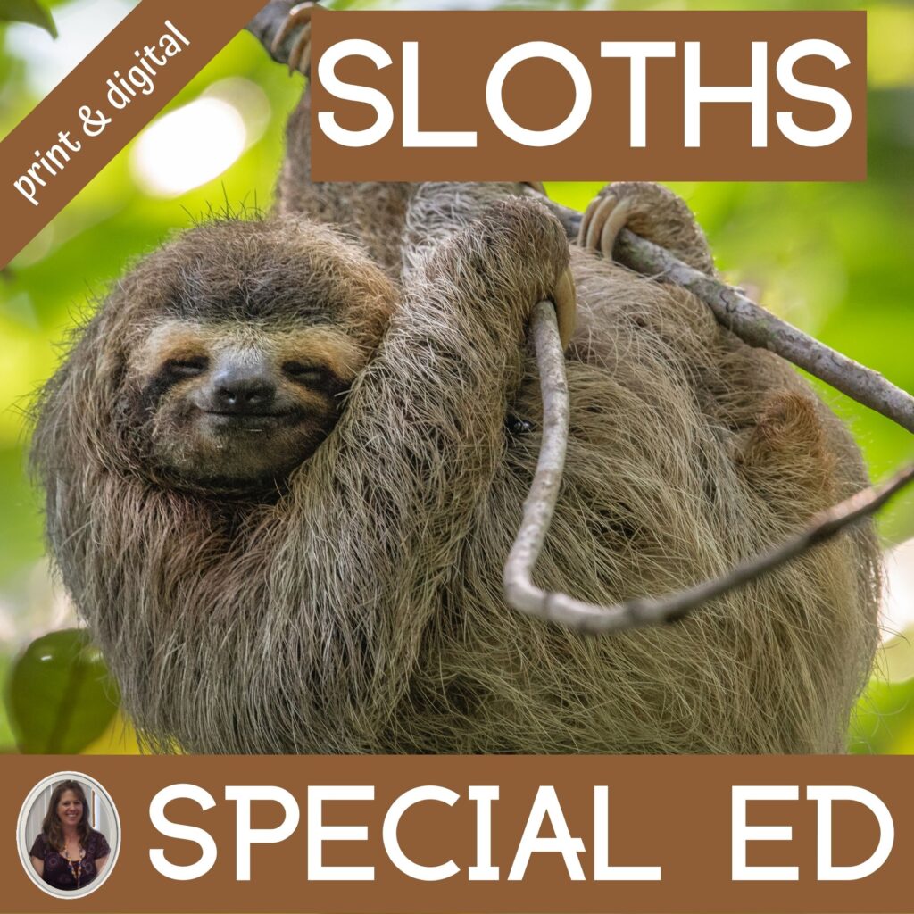 Sloths unit for special education forest biome â special needs for special kids