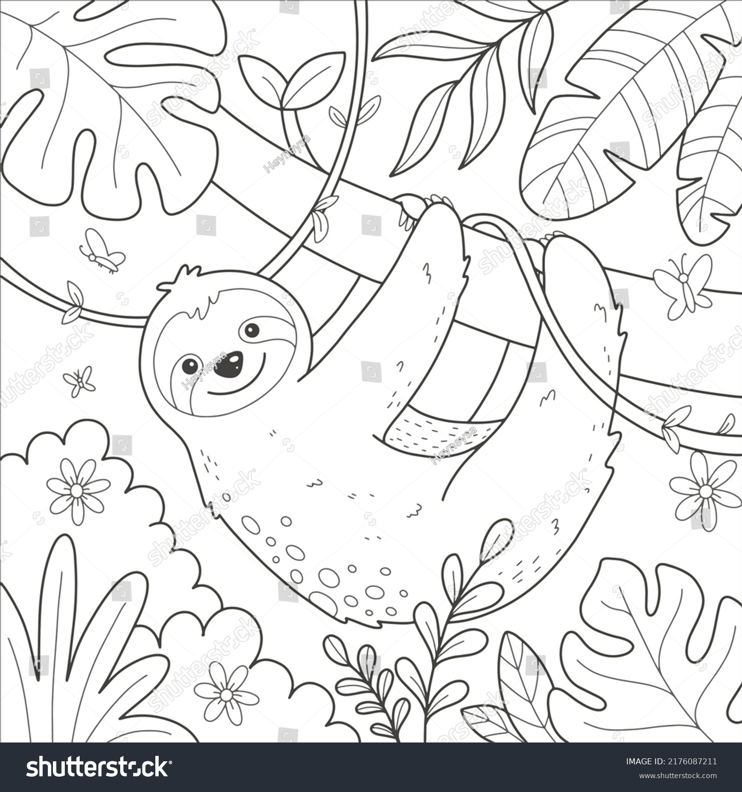 Sloth coloring book images stock photos d objects vectors