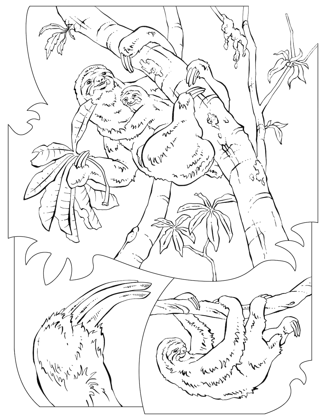 Coloring book animals j to z