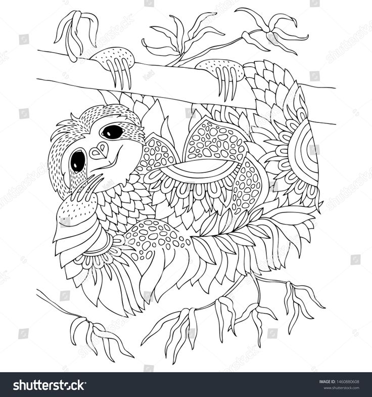 Cute smiling sloth hanging on tree branch hand drawn lovely sloth for adult coloring page vector illâ animal coloring pages coloring pages adult coloring page