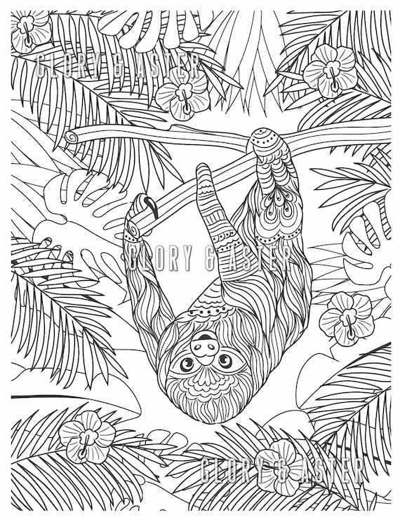 Sloth coloring page printable coloring page adult coloring