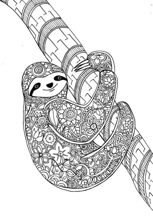 Get this adult coloring pages animals sloth