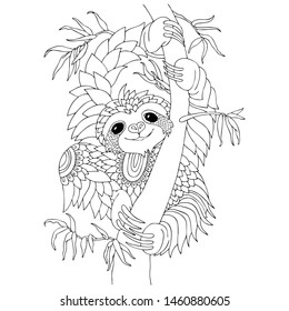 Thousand coloring book sloth royalty