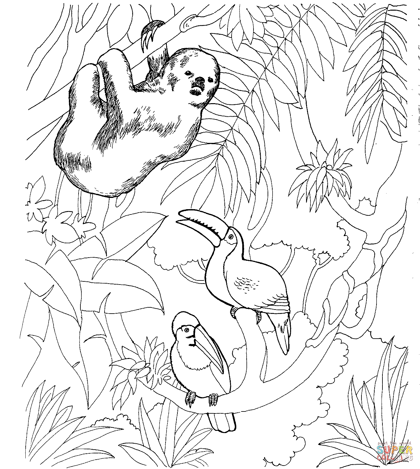 Sloth and two toucans coloring page free printable coloring pages