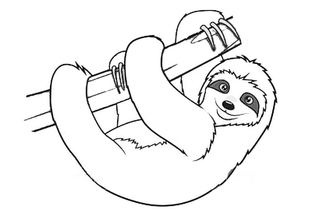 Sloth coloring pages