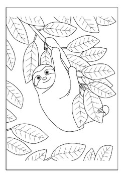 Printable sloth coloring pages collection for kids perfect for animal lovers