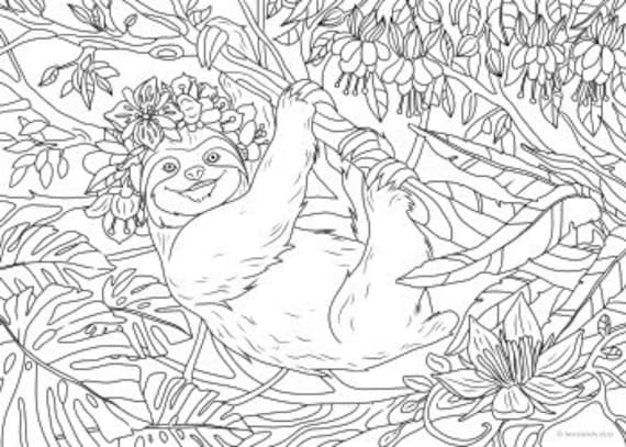 Sloth printable adult coloring page from favoreads coloring book pages for adults and kids coloring sheets coloring designs