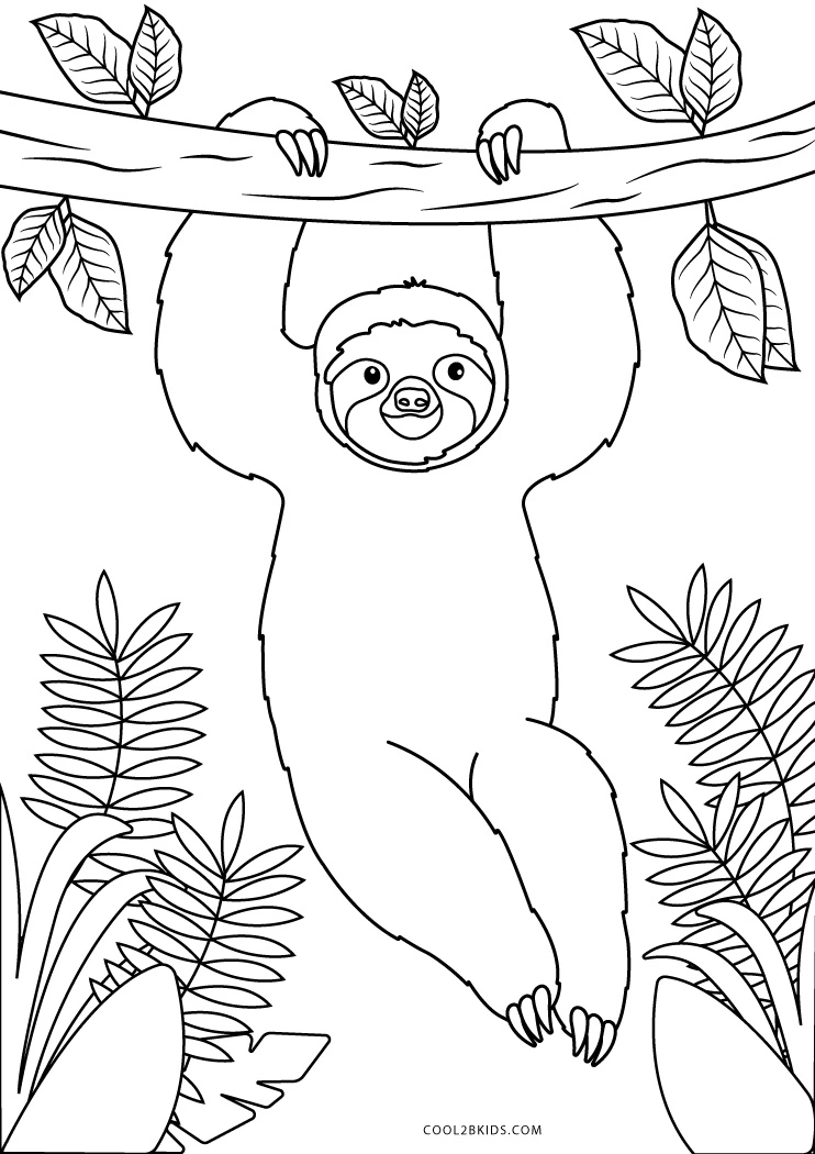 Free printable sloth coloring pages for kids