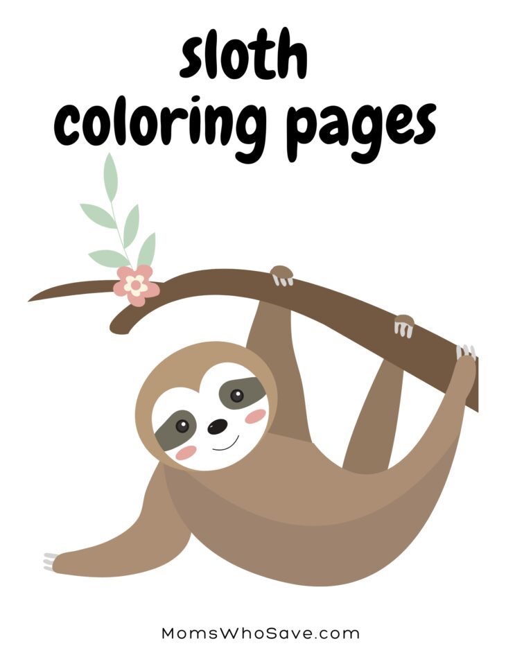 Sloth coloring pages free printables