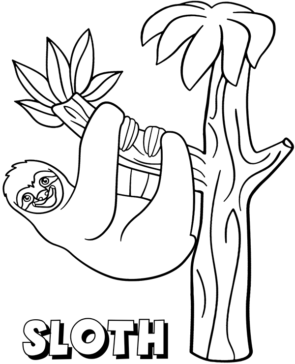 Printable sloth coloring page for kids