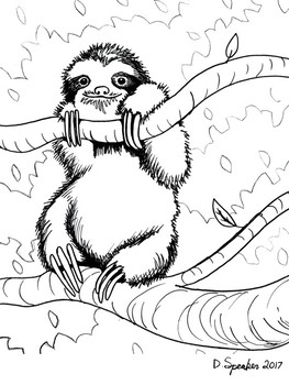 Sloth coloring sheet by mrsspeaker tpt