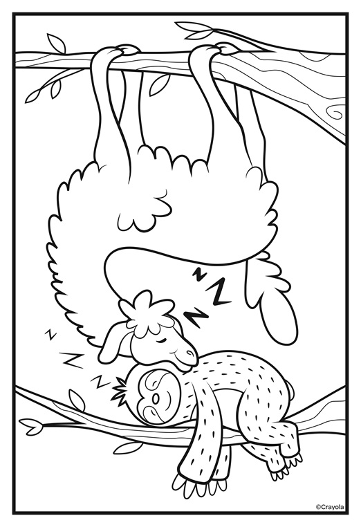 Sloths love llamas nap time coloring page