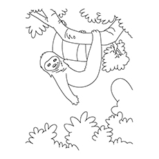 Top sloth coloring pages for your toddler