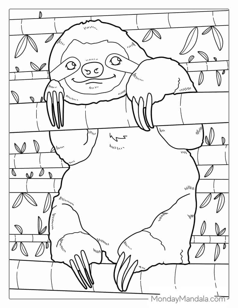 Sloth coloring pages free pdf printables