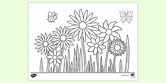 Free printable flower colouring page colouring sheets
