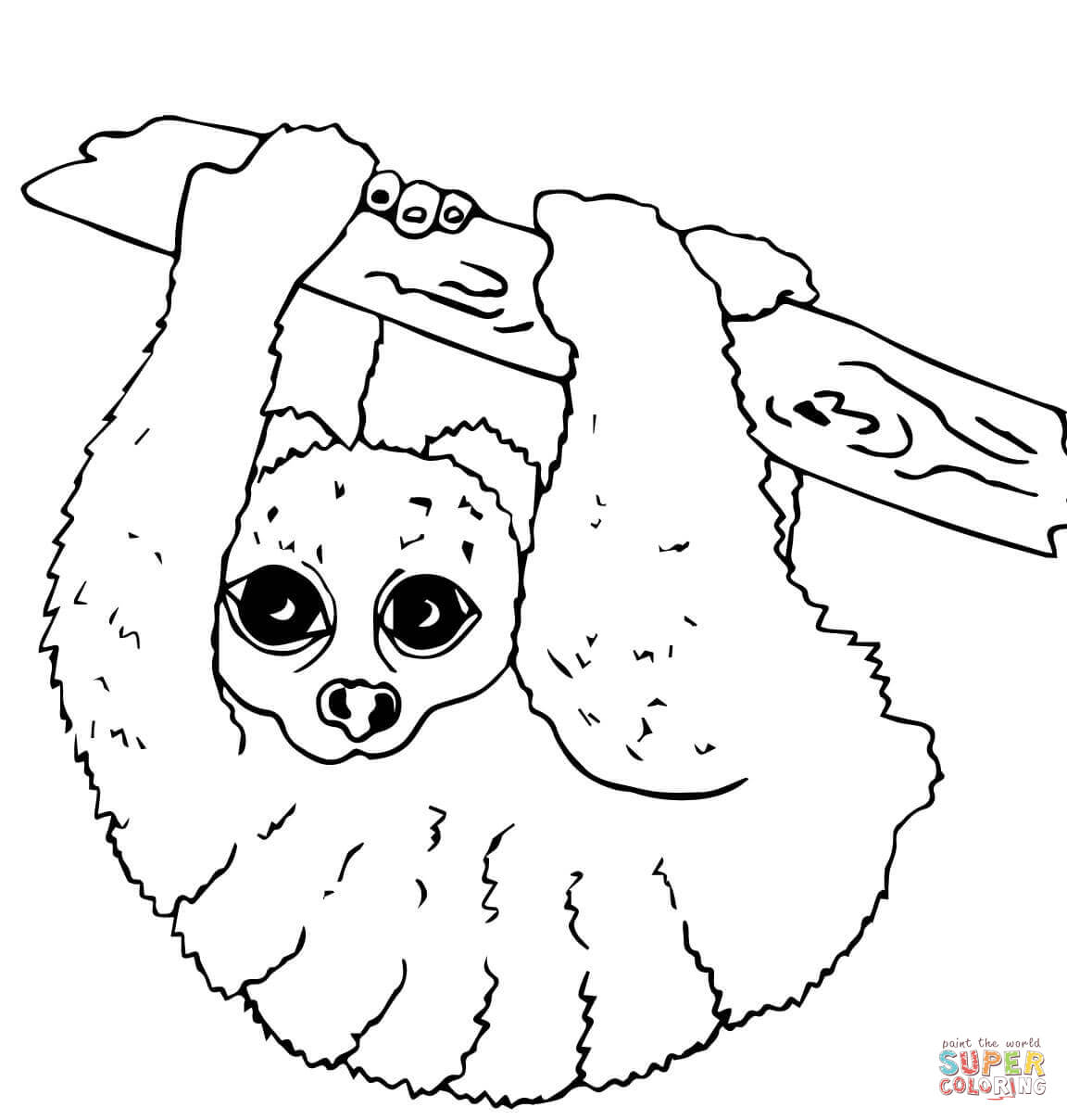 Slow loris coloring page free printable coloring pages