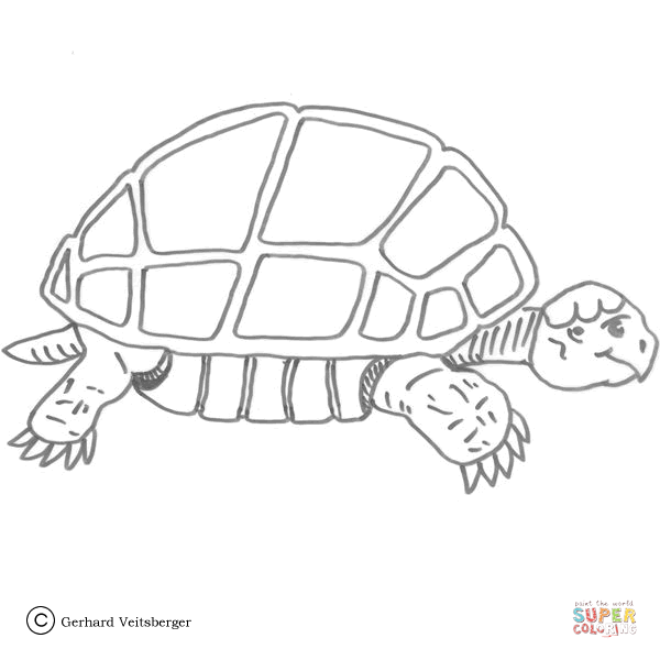 Slow turtle coloring page free printable coloring pages