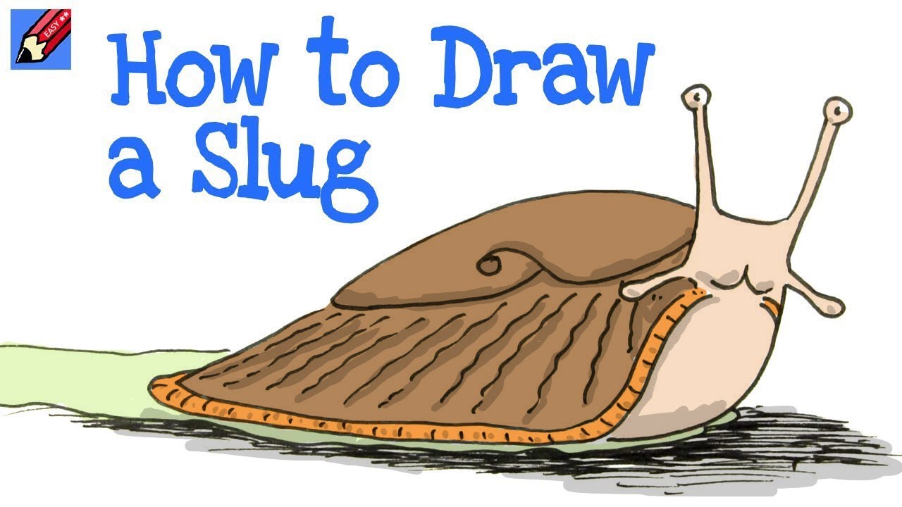 How to draw a slug real easy for beginners