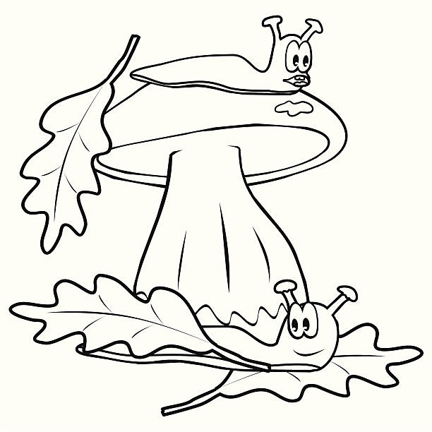 Mushroom coloring pages pictures stock illustrations royalty