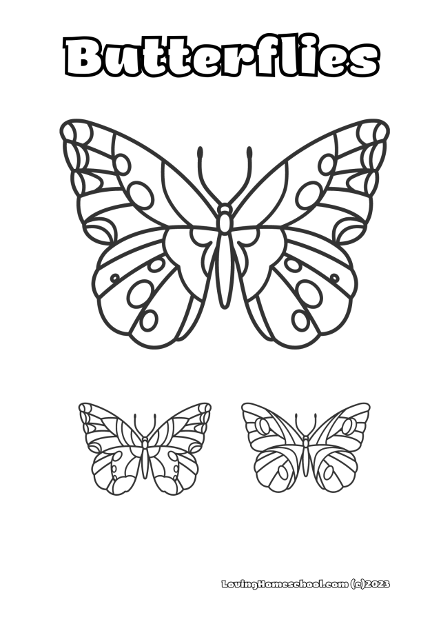 Free butterfly coloring pages