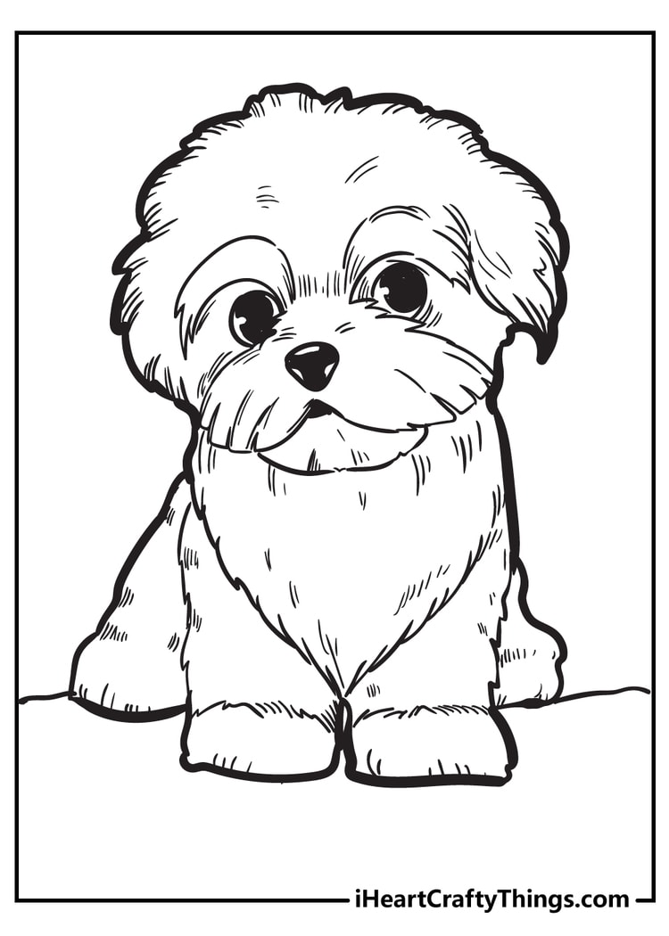 Puppy coloring pages free printables