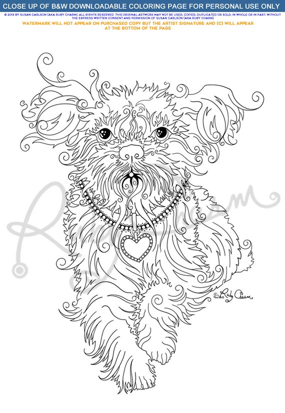 Shih tzu dog bundle download print and color pdf adorable small dogs canine adult colouring coloring page instant download